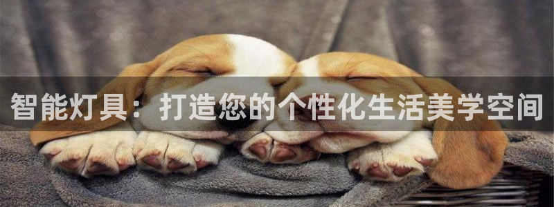 智能灯具：打造您的个性化生活美学空间