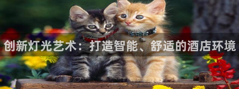 创新灯光艺术：打造智能、舒适的酒店环境