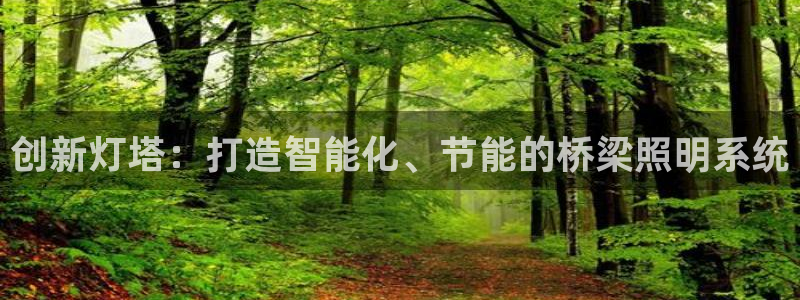 创新灯塔：打造智能化、节能的桥梁照明系统