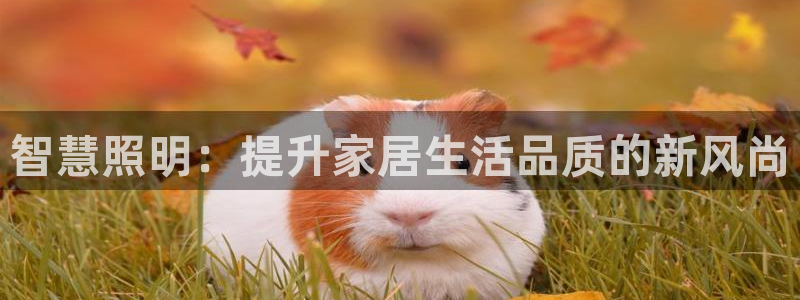 智慧照明：提升家居生活品质的新风尚