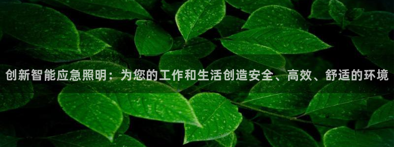 创新智能应急照明:为您的工作和生活创造安全、高效、舒适的环境