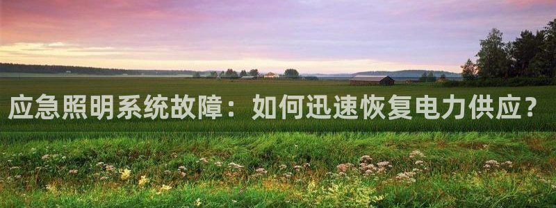 应急照明系统故障：如何迅速恢复电力供应？