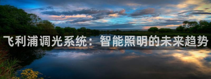 飞利浦调光系统：智能照明的未来趋势