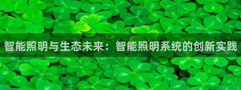 智能照明与生态未来：智能照明系统的创新实践