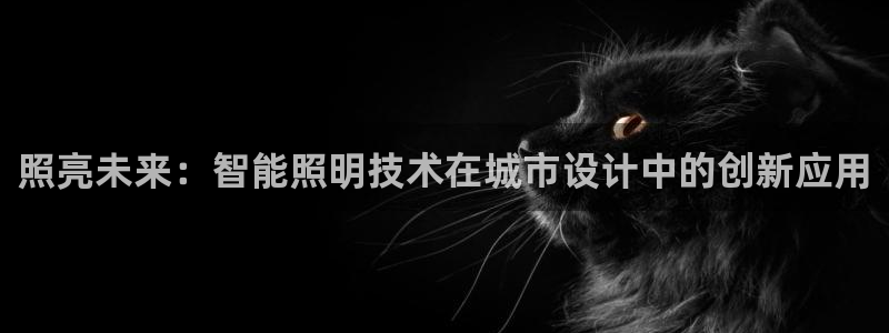 照亮未来:智能照明技术在城市设计中的创新应用