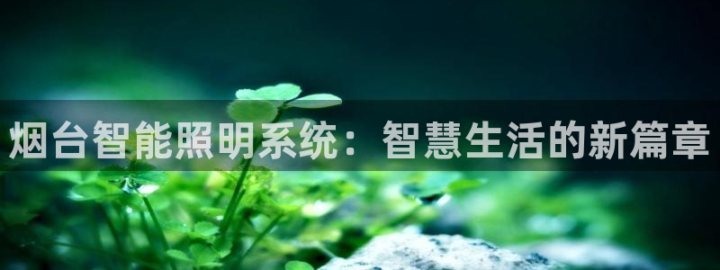 烟台智能照明系统：智慧生活的新篇章
