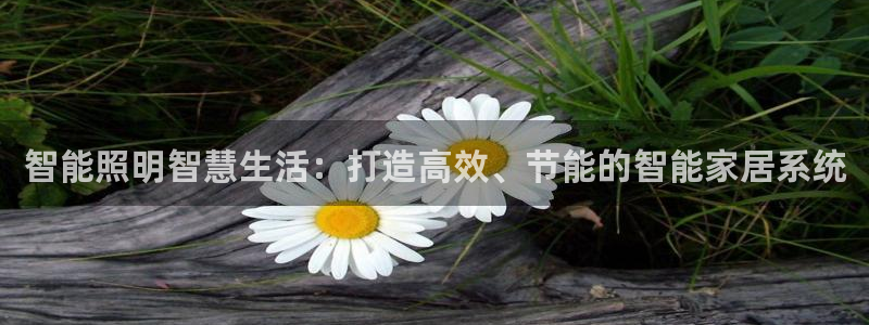 智能照明智慧生活：打造高效、节能的智能家居系统