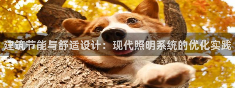 建筑节能与舒适设计：现代照明系统的优化实践