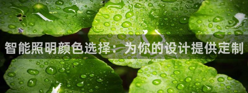 智能照明颜色选择：为你的设计提供定制