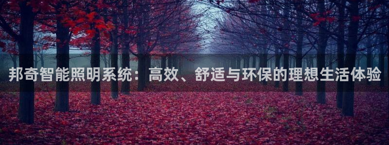 邦奇智能照明系统：高效、舒适与环保的理想生活体验