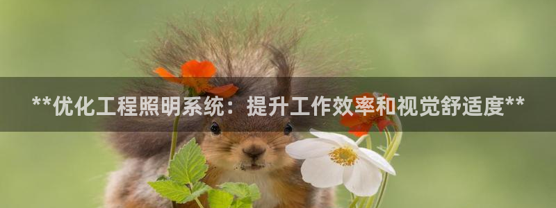 **优化工程照明系统：提升工作效率和视觉舒适度**