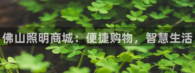 佛山照明商城：便捷购物，智慧生活