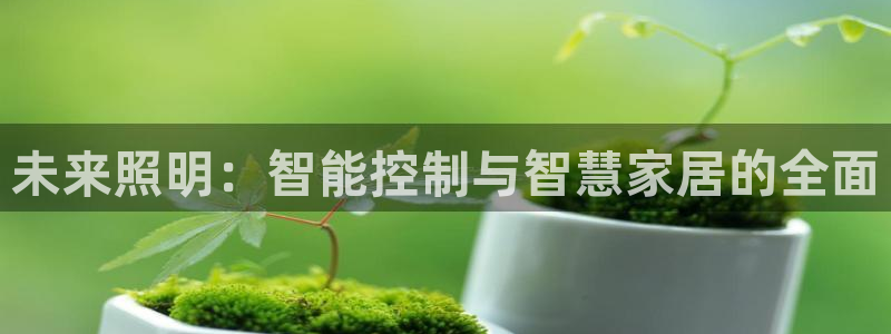 未来照明：智能控制与智慧家居的全面