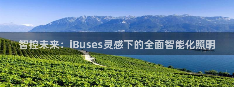 智控未来：iBuses灵感下的全面智能化照明