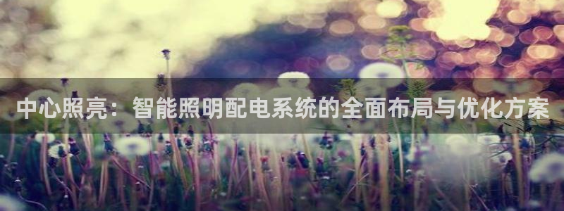 中心照亮：智能照明配电系统的全面布局与优化方案