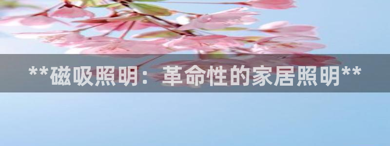 **磁吸照明：革命性的家居照明**