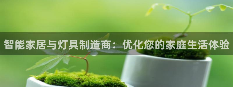 智能家居与灯具制造商：优化您的家庭生活体验