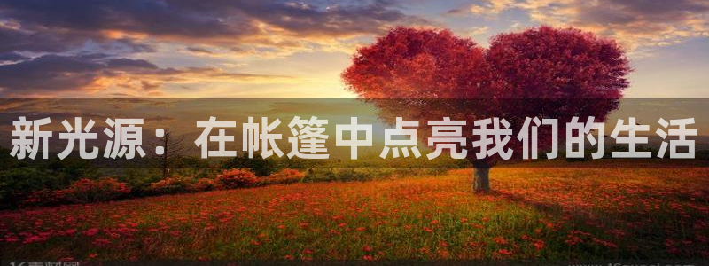 新光源：在帐篷中点亮我们的生活