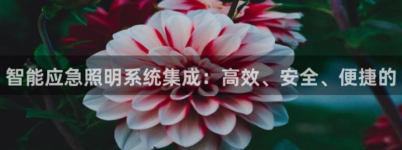 智能应急照明系统集成：高效、安全、便捷的