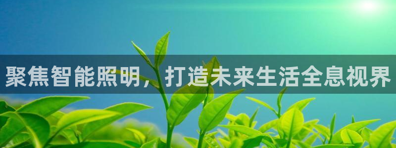 聚焦智能照明，打造未来生活全息视界