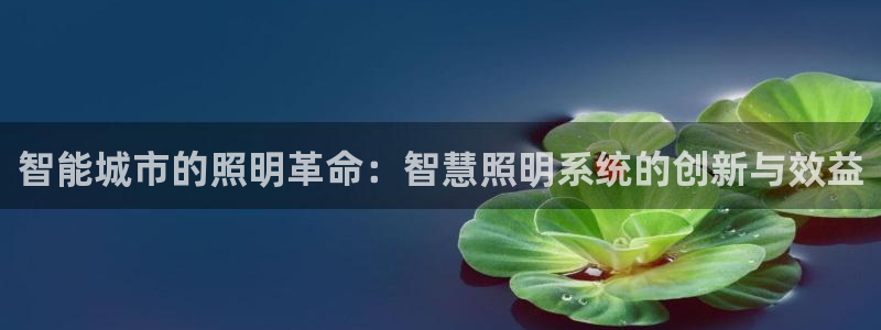 智能城市的照明革命：智慧照明系统的创新与效益