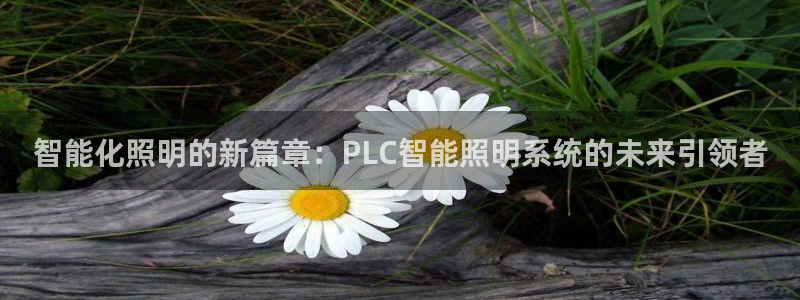 智能化照明的新篇章：PLC智能照明系统的未来引领者