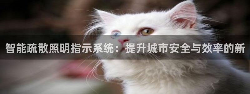 智能疏散照明指示系统：提升城市安全与效率的新