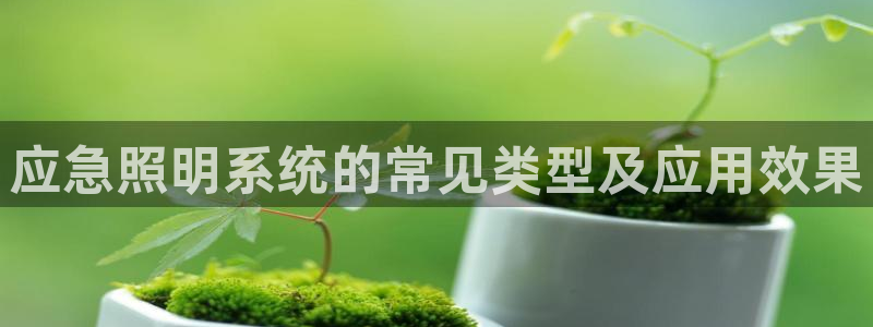 应急照明系统的常见类型及应用效果
