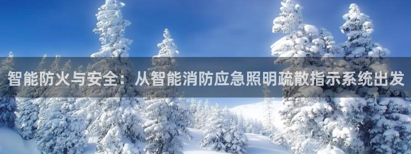智能防火与安全：从智能消防应急照明疏散指示系统出发