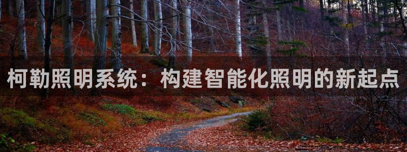 柯勒照明系统：构建智能化照明的新起点