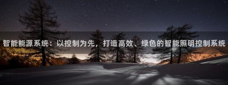 智能能源系统：以控制为先，打造高效、绿色的智能照明控制系统