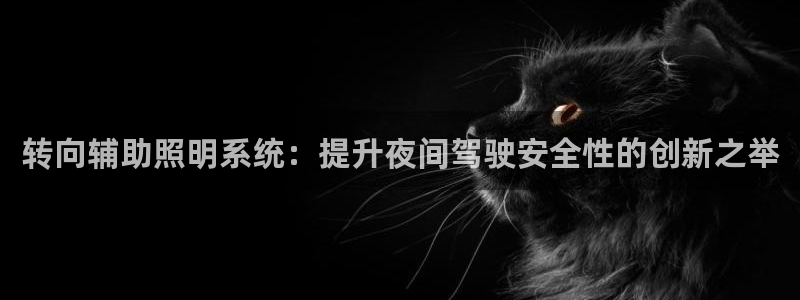 转向辅助照明系统：提升夜间驾驶安全性的创新之举