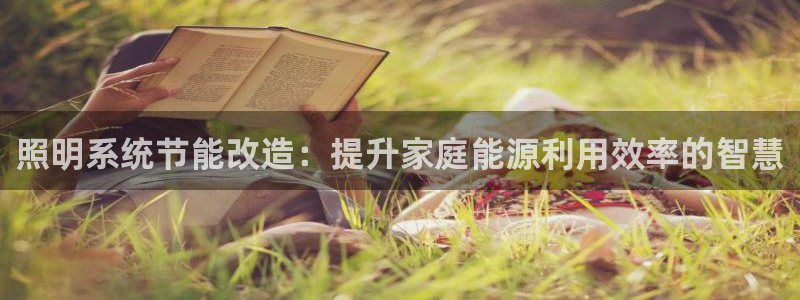 照明系统节能改造：提升家庭能源利用效率的智慧