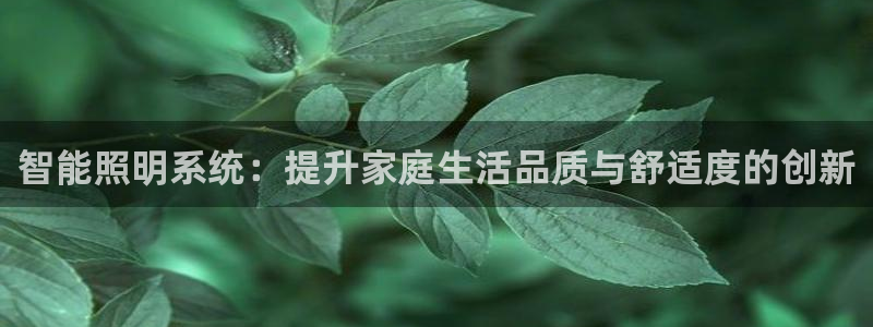 智能照明系统：提升家庭生活品质与舒适度的创新