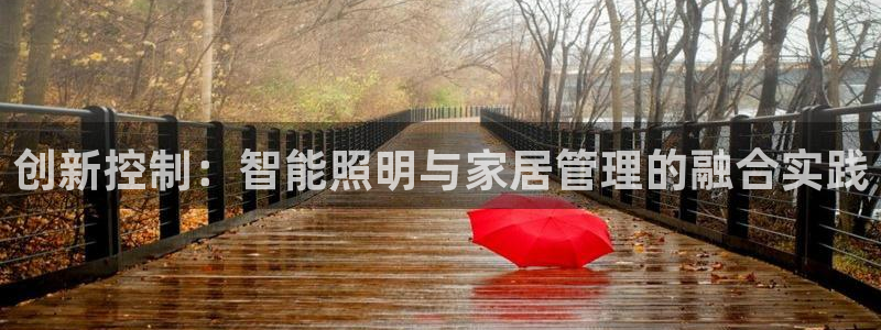 创新控制：智能照明与家居管理的融合实践