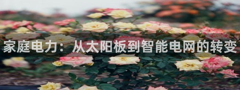 家庭电力：从太阳板到智能电网的转变