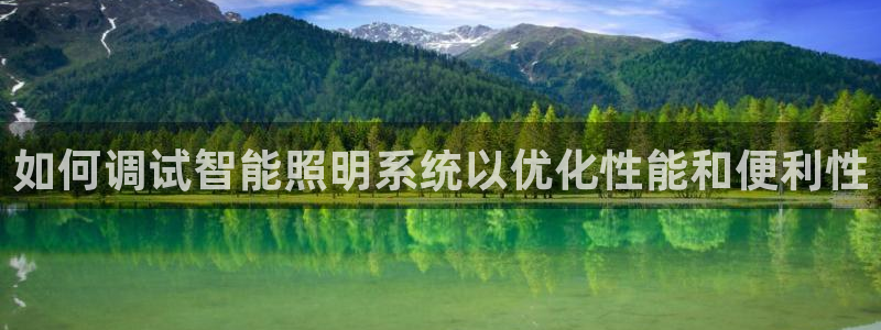 如何调试智能照明系统以优化性能和便利性