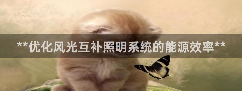 **优化风光互补照明系统的能源效率**