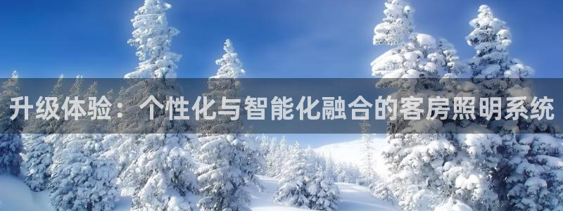 升级体验：个性化与智能化融合的客房照明系统