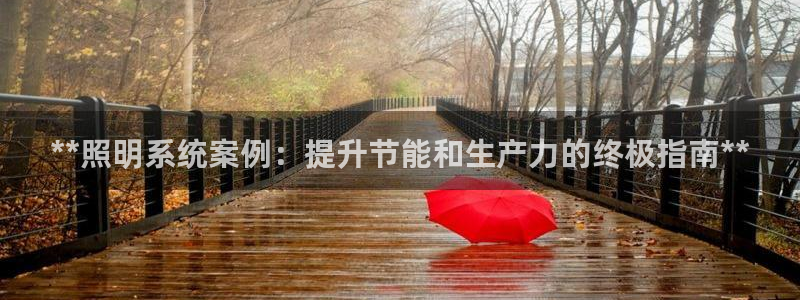 **照明系统案例：提升节能和生产力的终极指南**