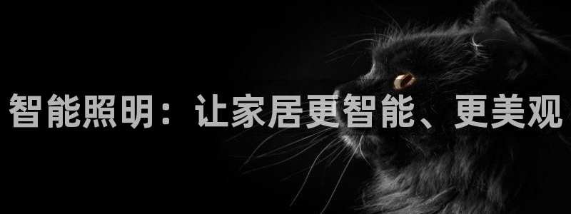 智能照明：让家居更智能、更美观