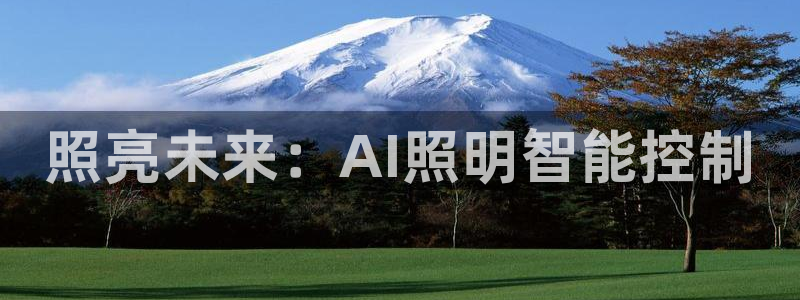 照亮未来：AI照明智能控制