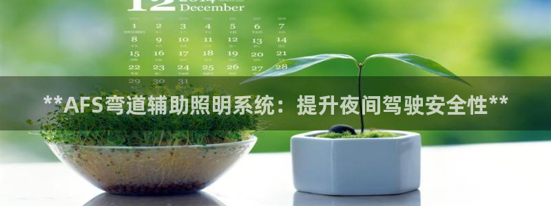 **AFS弯道辅助照明系统：提升夜间驾驶安全性**