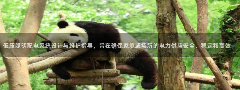 低压照明配电系统设计与维护指导，旨在确保家庭或场所的电力供应安全、稳定和高效。