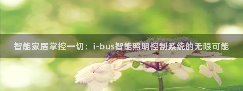 智能家居掌控一切：i-bus智能照明控制系统的无限可能