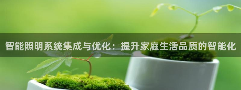 智能照明系统集成与优化：提升家庭生活品质的智能化