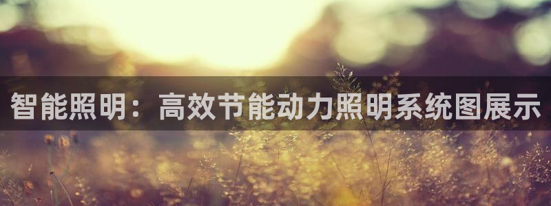 智能照明：高效节能动力照明系统图展示