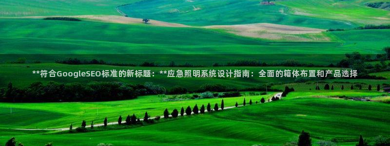 **符合GoogleSEO标准的新标题：**应急照明系统设计指南：全面的箱体布置和产品选择