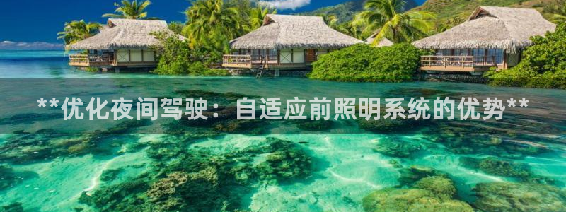 **优化夜间驾驶：自适应前照明系统的优势