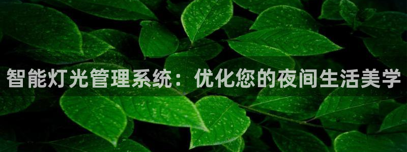 智能灯光管理系统：优化您的夜间生活美学